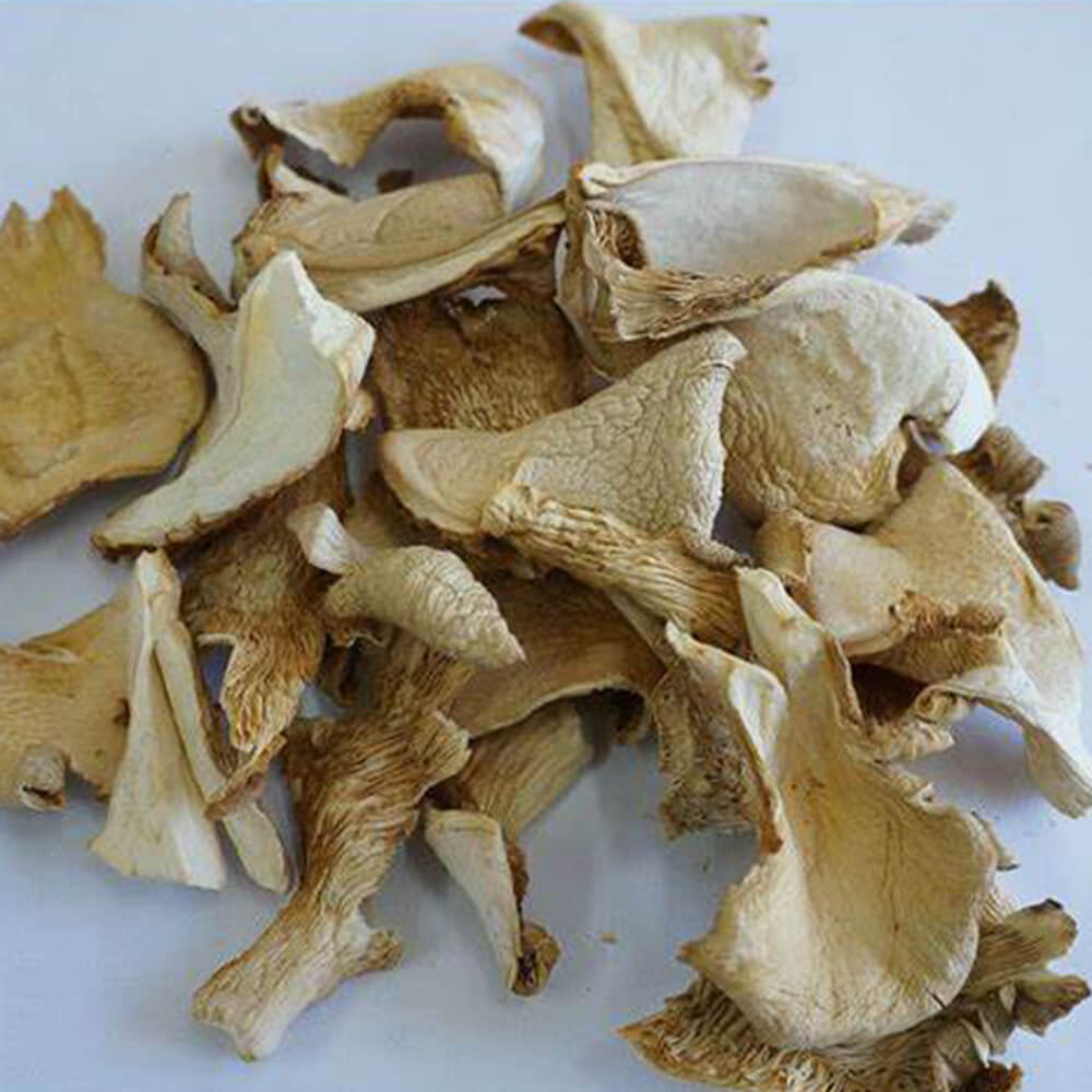 Discover the Benefits of Dhingri Mushrooms