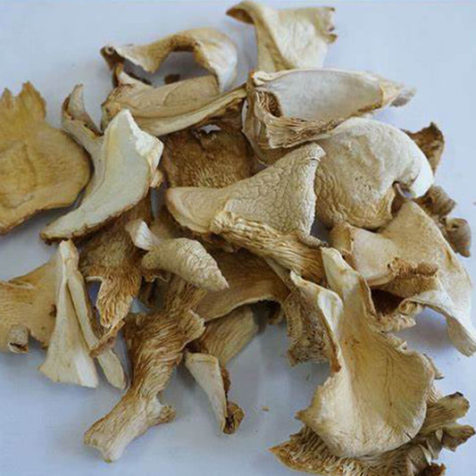 Discover the Benefits of Dhingri Mushrooms
